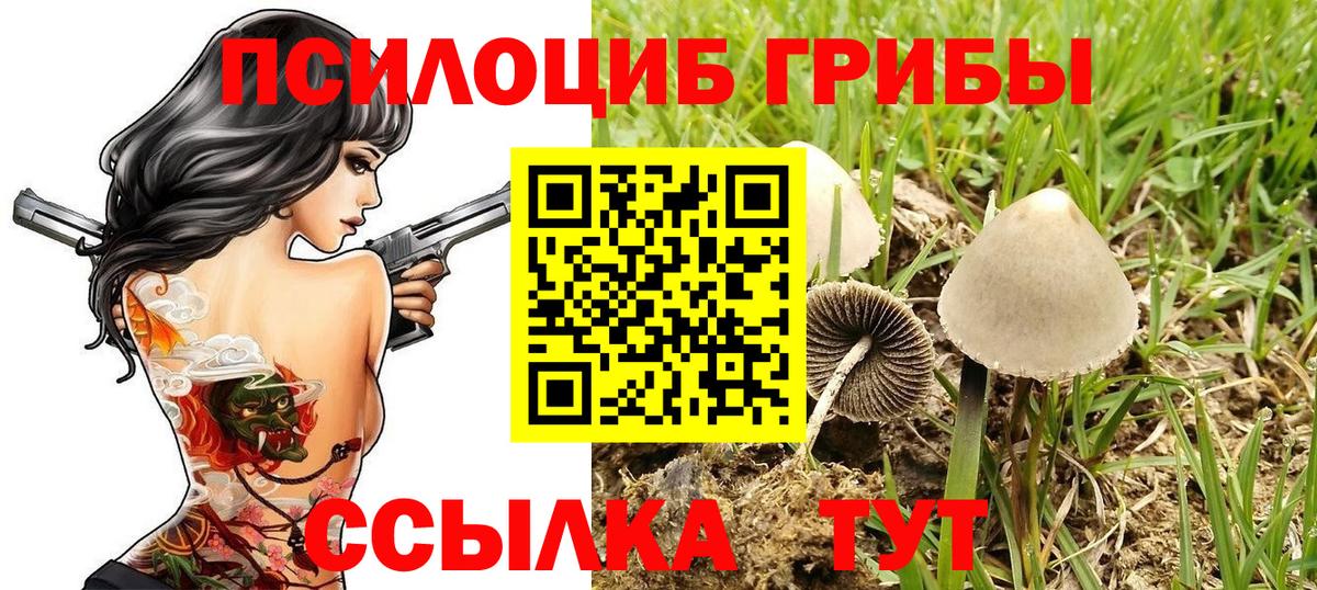 Псилоцибиновые грибы мицелий Усть-Джегута