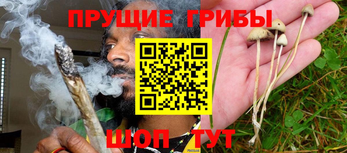 Псилоцибиновые грибы мухоморы  Вход с VPN  Усть-Джегута 